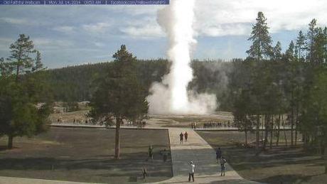 Vulcano Yellowstone: Geyser Esplodono, Strade si Sciolgono e Terremoti scuotono l’Area del Parco