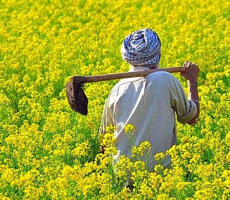 fertilizzanti e agricoltura