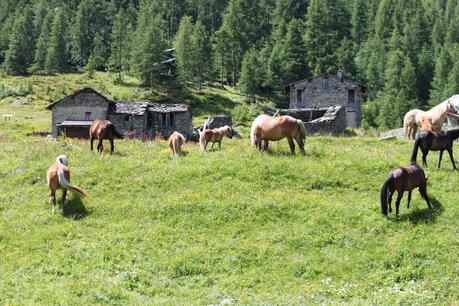 An amazing tiny village: Cheneil, Valle d'Aosta