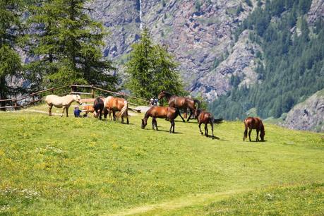 An amazing tiny village: Cheneil, Valle d'Aosta