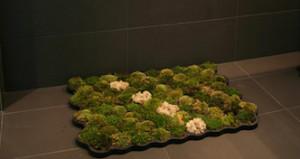 Moss Bathroom Mat-copertina