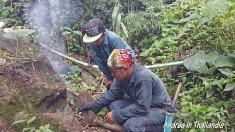 Corso base da Mahout a Chiang Mai: secondo giorno