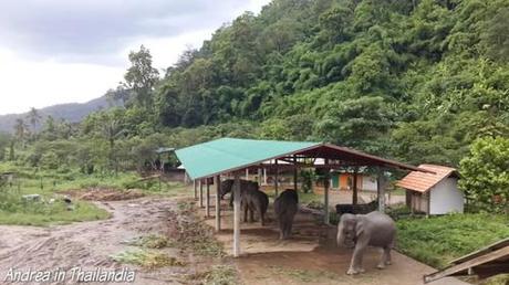 Corso base da Mahout a Chiang Mai: secondo giorno