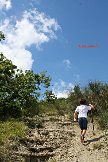 Sul recuperare il rapporto con mio figlio e l’amore per le colline