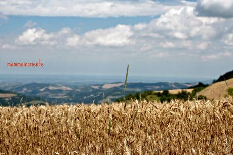 Sul recuperare il rapporto con mio figlio e l’amore per le colline