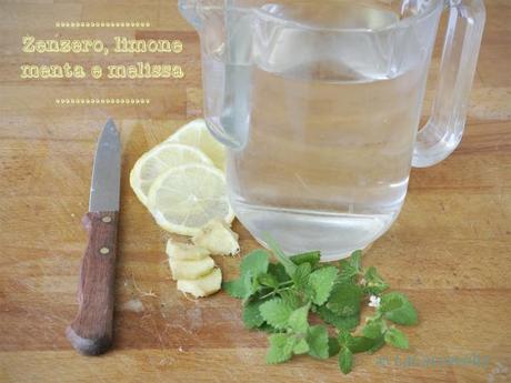 infuso, zenzero, limone, melissa, herbaltea, tea, ginger, lemon, summer, estate, fresco, 