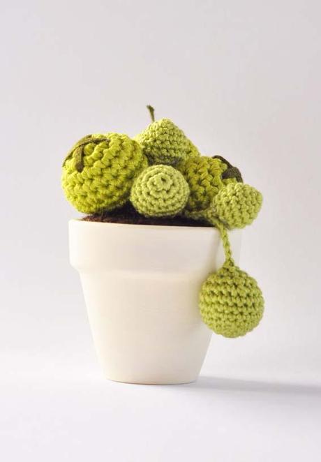 Mary D - cactus amigurumi_1