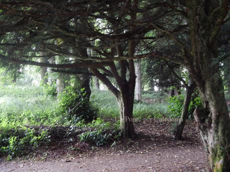 Giardini del Castello di Blair: il bosco di Diana's Grove