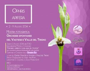 Convegno_mostra_orchidee_2_agosto_2014_san_salvo