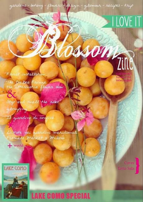 Blossom zine collabora con Ozero komo