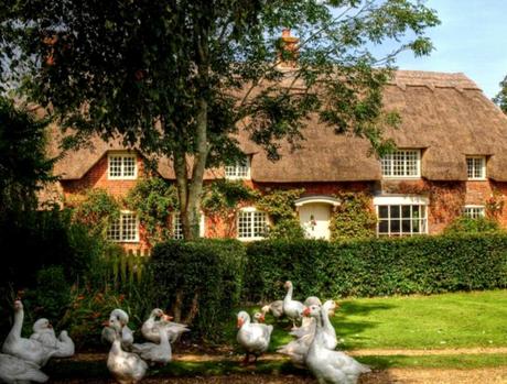 Inspiration of the week N.2 – English Cottage yy77