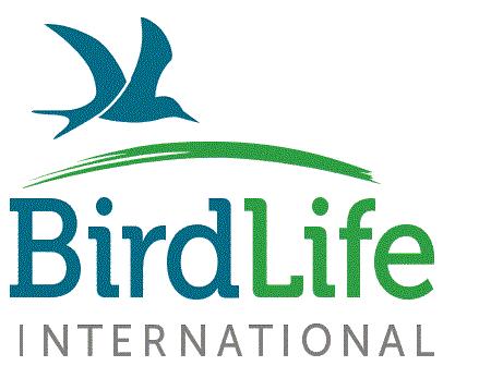 uccelli Uccelli: 361 nuove specie ma il 25% a rischio