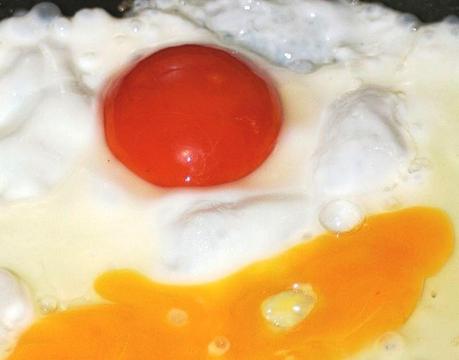 uova al piatto 800px-Red_Yolk_C