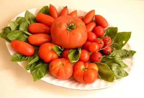 varietà di pomodori