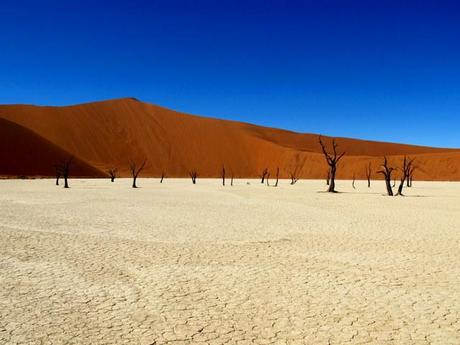 Deadvlei, Namibia