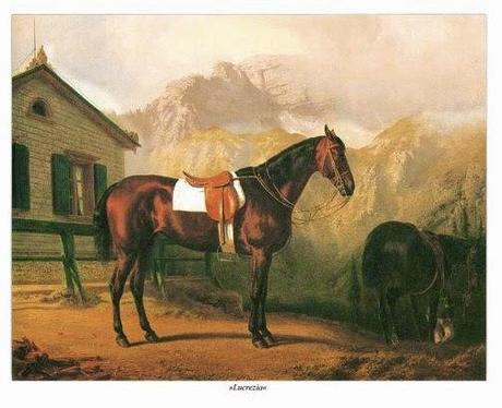 Per amore di un cavallo - Ludwig, Sissi e l'equitazione.