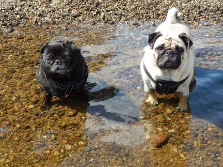 Audrey e Sergio a Loch Lomond