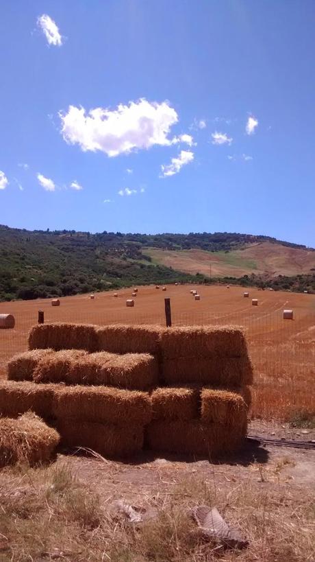 Il viaggio e i viaggiatori secondo Pessoa passando per San Felice