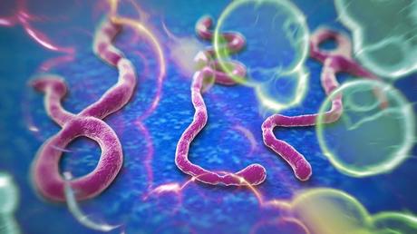 Pandemia ebola virus Africa