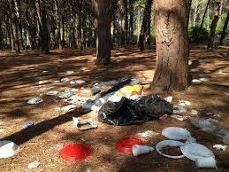 Pineta di San Cataldo invasa da una puzza nauseante foto leccesette.it