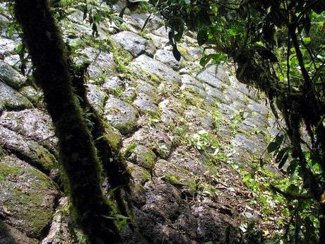 UN GRUPPO DI ESPLORATORI HA TROVATO UNA PERDUTA ‘CITTÀ DEI GIGANTI’ IN ECUADOR? UN GRUPPO DI ESPLORATORI HA TROVATO UNA PERDUTA ‘CITTÀ DEI GIGANTI’ IN ECUADOR?