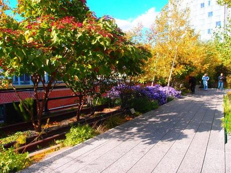 Un tratto di High Line immersa nel verde