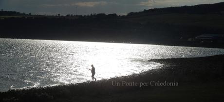 Chanonry Point