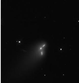 La cometa Ison scortata da Ufo?