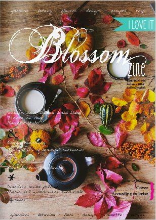 copertina Blossomzine N°6
