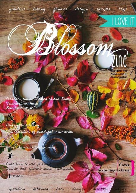 Blossom zine nuovissimo numero autunnale