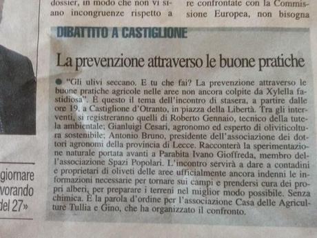 Il benessere degli alberi di Olivo del Salento leccese (Nuovo Quotidiano di Puglia del 18 agosto 2014)
