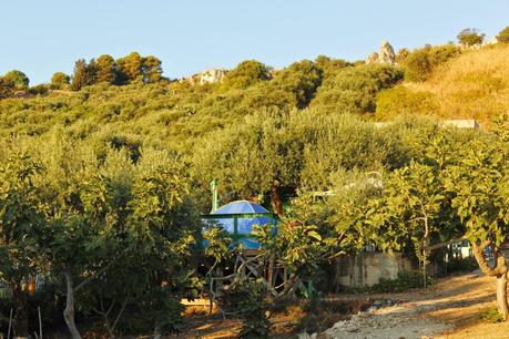 Il loro primo campeggio