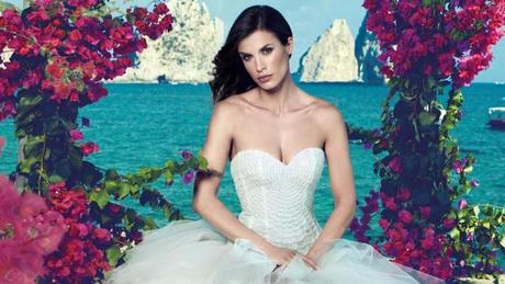 elisabetta canalis sposa