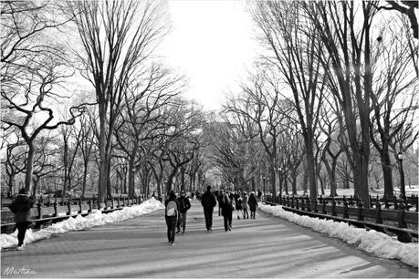 Visitare Central Park: 8 punti per scoprire il polmone verde di New York