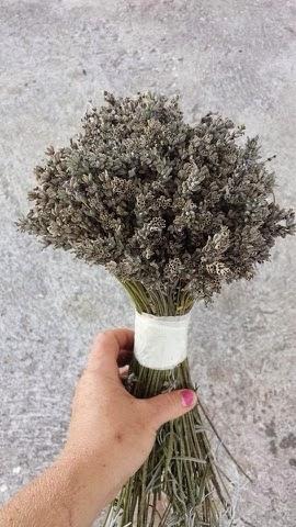 Un mazzetto di lavanda