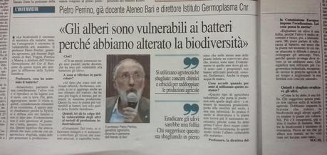 Pietro Perrino: nelle stesse aree delle piante infette di Xylella Fastidiosa ne convivono altre che, invece, sono sane