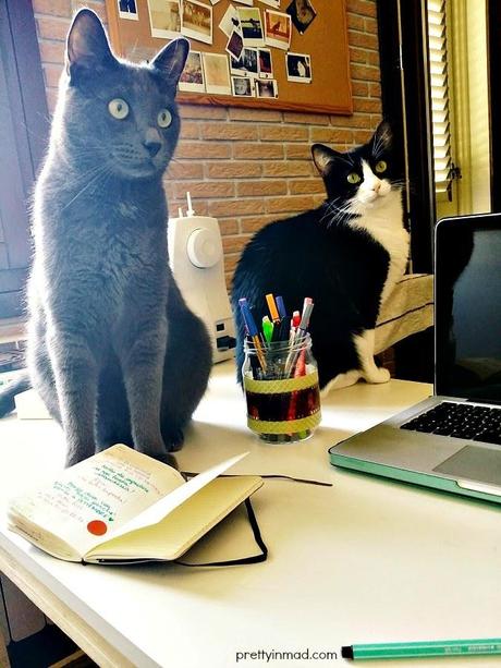 Aggiornamenti e riflessioni di fine Agosto Aggiornamenti e riflessioni di fine Agosto