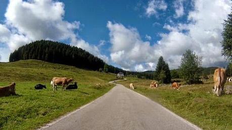 #24082014 #mtb #ortigara #altopiano #full #salita #montagna