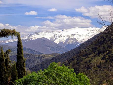 cosa vedere a granada quartiere albaicin