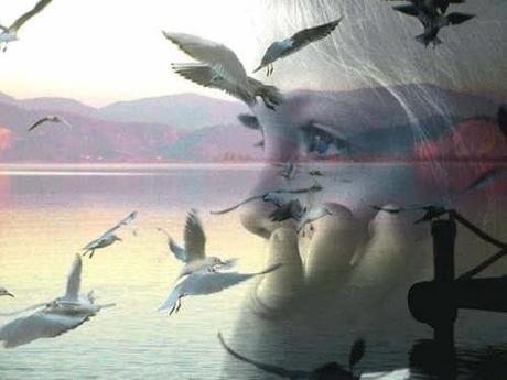 COMUNQUE SIA, VAI. COMUNQUE SIA, VAI.