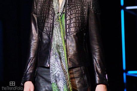 2014-ago28-fwmemoriesMMFW-cavalli09