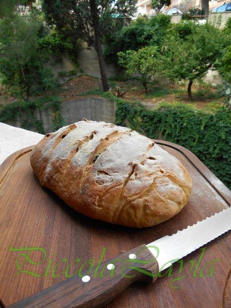 Pane olive e pasta madre  (28)b