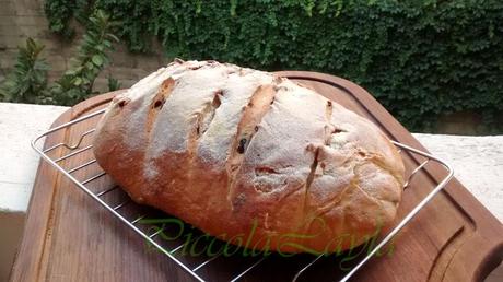 Pane olive e pasta madre  (23)b