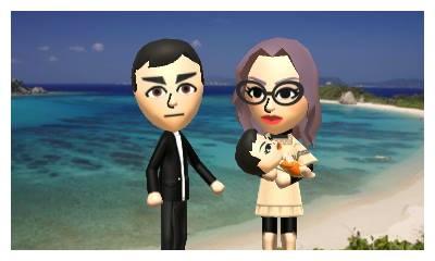 [Videogame] Tomodachi Life