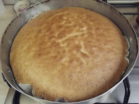 TORTA SOFFICE ALL’ACQUA E SCAGLIE DI CIOCCOLATO DI ZIA CONSU