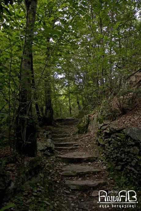 Campane: ceppi, bicchieri, ruote e bocce Campane: ceppi, bicchieri, ruote e bocce