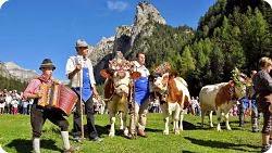 Eco-Dolomites ed E-Bike Festival in Val Gardena http://www.valgardena.it/it/