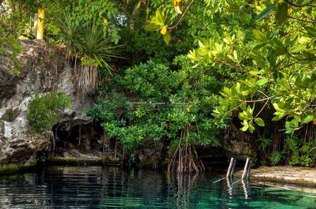 7 giorni in yucatan