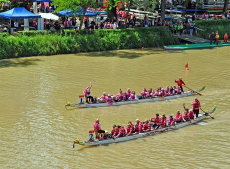 La Florence Dragon Lady al Dragon Boat Festival