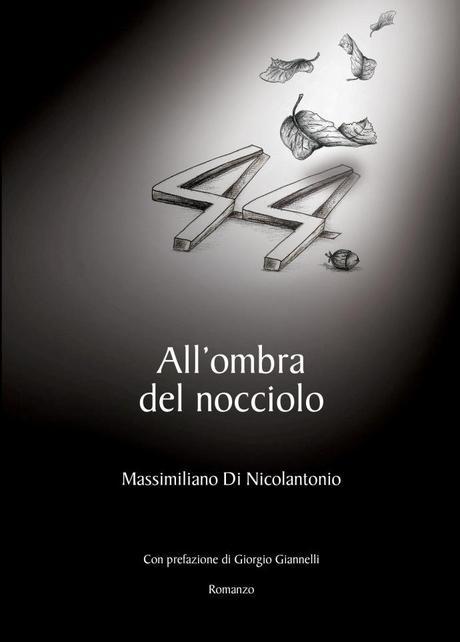 Copertina del romanzo